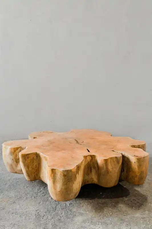 Bargain Mango Wood Low Coffee Table by Artisan Living-ALF1163