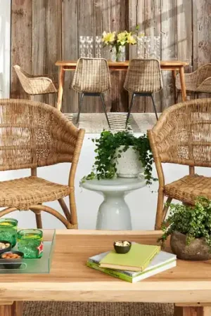 One Day Deal Ormond™ Dining Chair By Texture Designideas - Black, Natural