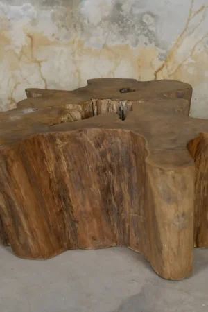 Old Teak Tree Slab Coffee Table-Hollow Center by Artisan Living Best Price