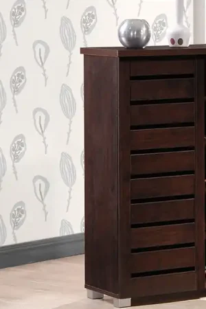 Best Choice Baxton Studio Adalwin Modern and Contemporary 2-Door Dark Brown Wooden Entryway Shoes Storage Cabinet - Dark Brown