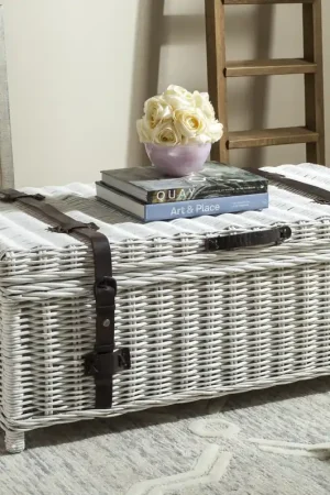 Safavieh Navarro Rattan Coffee Table Trunk Popular