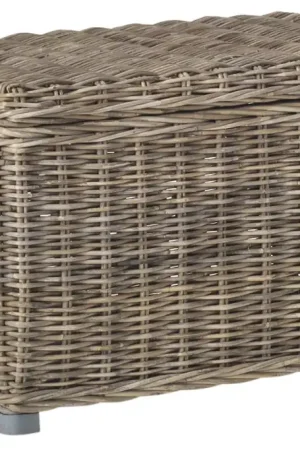 Fresh Stock Safavieh Salim Wicker Trunk - Gray, Grey, Natural