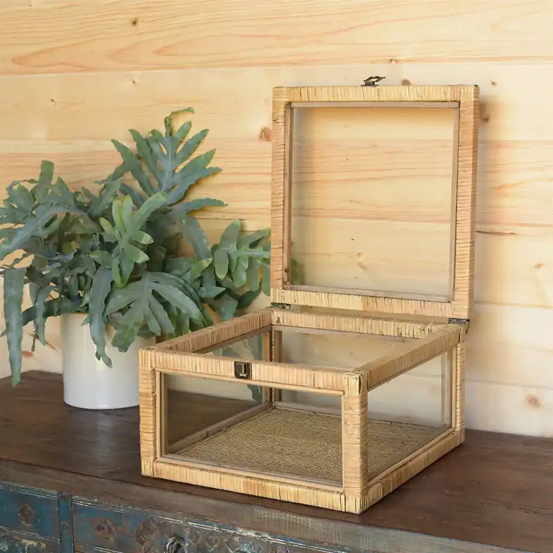 Cayman Rattan and Glass Case By HomArt Latest