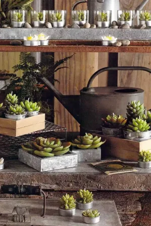 Mega Sale Flowers & Ferns Potted Succulent Candles