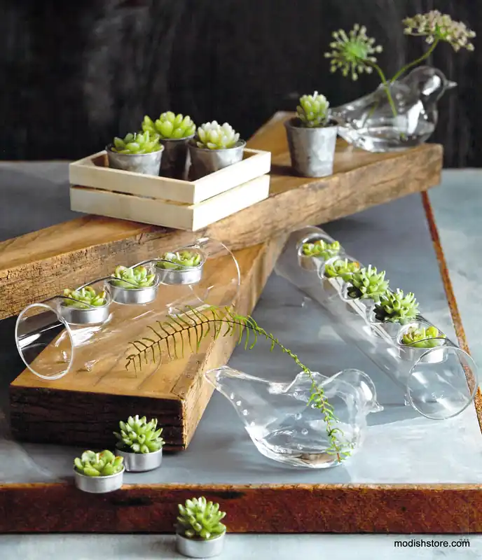 Succulent Tealights Express Delivery