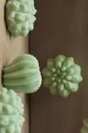 Secure Checkout Gold Leaf Design Group Wall Play - 'Cactus' - Set/10 - Green