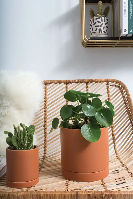 Reduced Price Romey Pot 7"x 7" Set Of 4 By Accent Decor