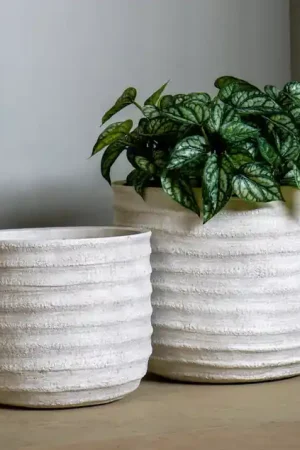 Dolma Short Ant White, Set Of 2 Planter By Gold Leaf Design Group Fast Shipping