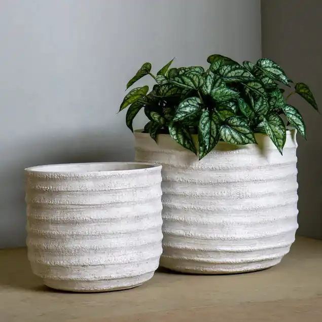 Dolma Short Ant White, Set Of 2 Planter By Gold Leaf Design Group Fast Shipping