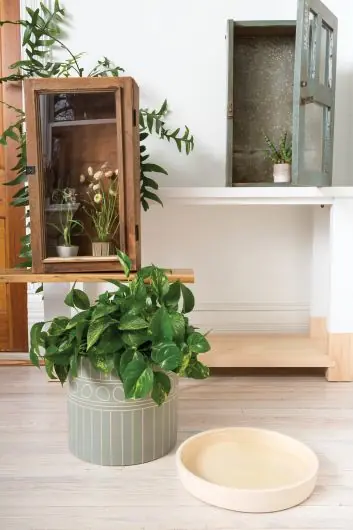YONA POT By Accent Decor Bulk Order