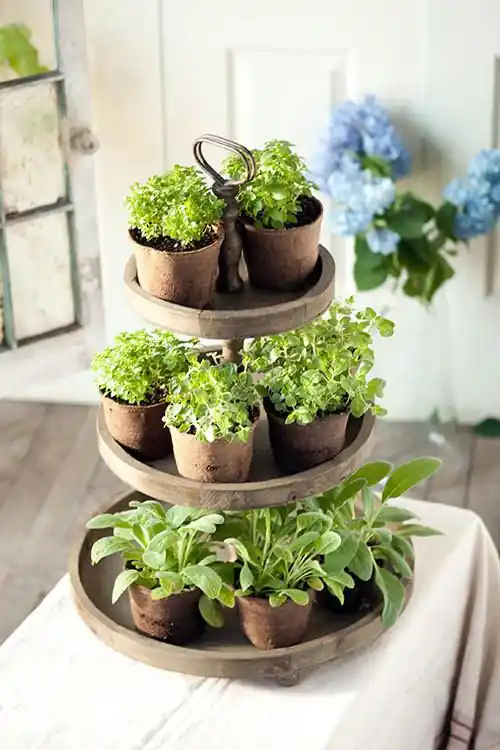 Vagabond Vintage 3-Tier Round Display Planter Best Price