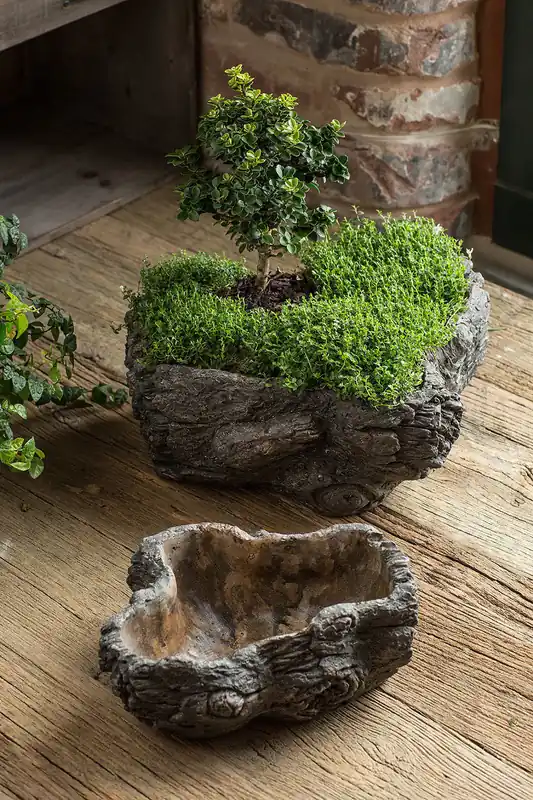 Weekend Sale Vagabond Vintage Cement Planter,Burled Bark - Set of 2