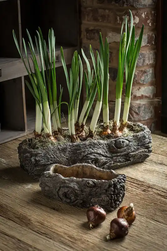 Direct From Factory Vagabond Vintage Cement Log Planter - Set of 2