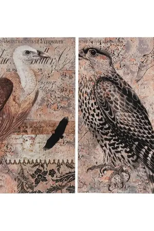 Worldwide Shipping Set of 2 Antique Post Card Birds Wall Art By Homeroots