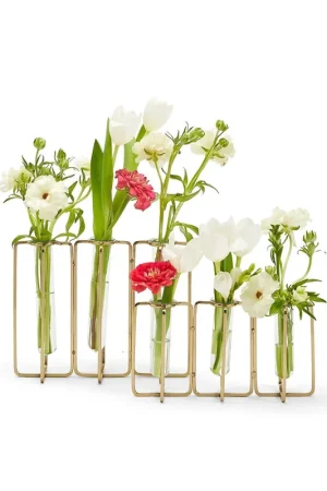 Limited Time Gold Vase Incl 2 Sizes Set Of 8 By Tozai Home