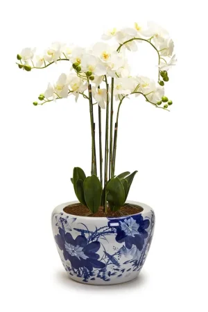 Price Drop Japanese Blue Flower Planter By Tozai Home