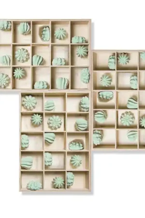 Crafted Shadow Box w/Cactus Wall Play, By Gold Leaf Design Group