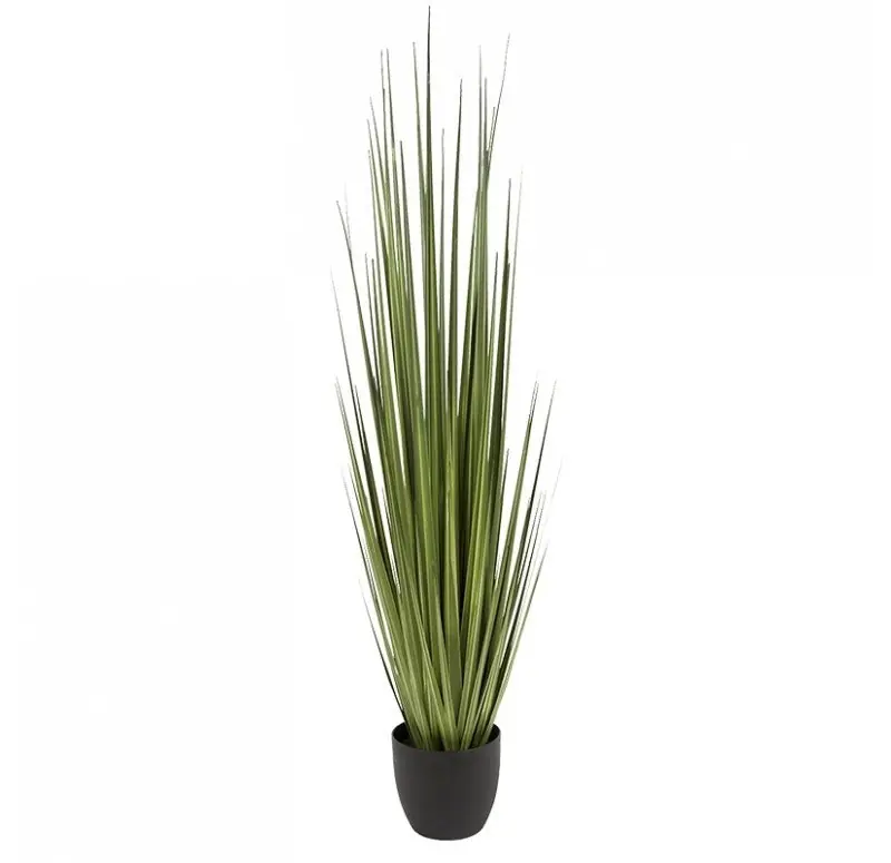 Buy Today Potted Century Grass in Linear Planter, 64"OL by Gold Leaf Design Group - Green, Black