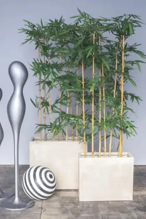 Buy Direct Bamboo Tree in Urbano Rectangle Planters, Set of 2 by Gold Leaf Design Group - Green, Grey