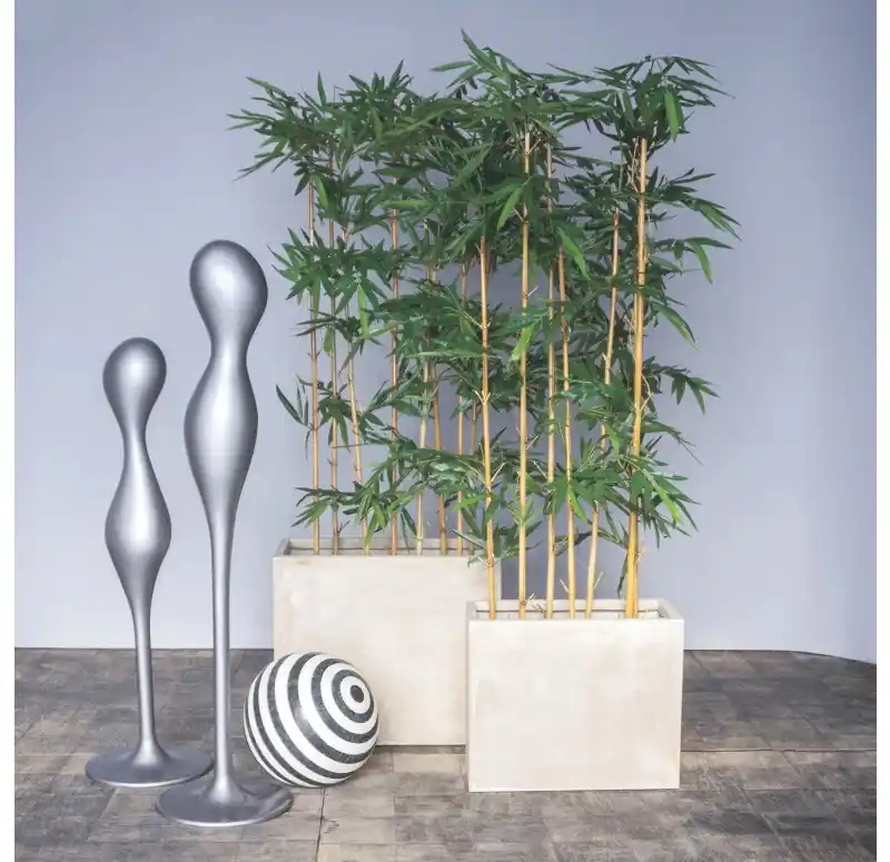 Buy Direct Bamboo Tree in Urbano Rectangle Planters, Set of 2 by Gold Leaf Design Group - Green, Grey