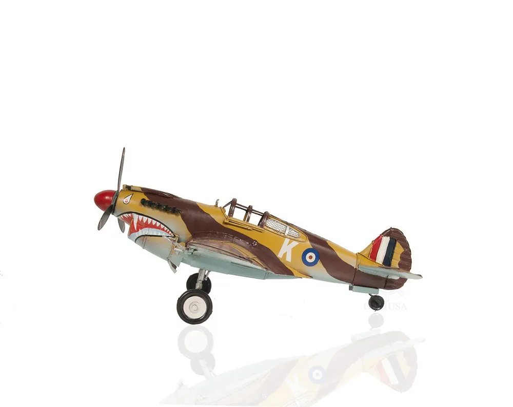 c1941 Curtiss Hawk 81A Large Sculpture By Homeroots Original