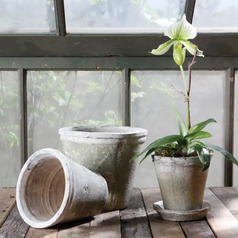 Modern Rustic Terra Cotta Short Tomato Pot - Large - Whitestone Set Of 2 By H