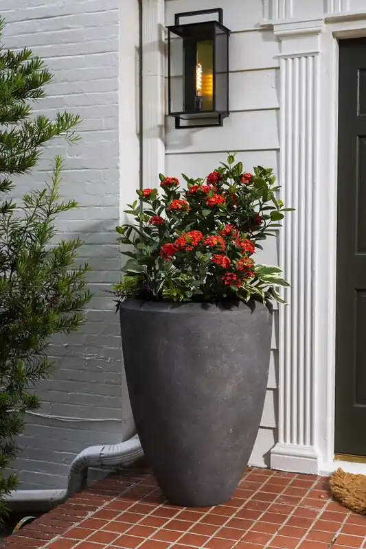 Roan Planter 28" x 37" By Accent Decor Special Offer