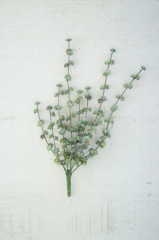 Affordable Kalalou Succulent Bush - Set Of 6 - Green