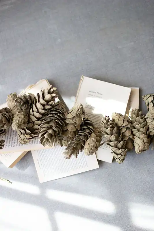 Grab Now Frosted Sage Pinecone Garland - S/6 By Kalalou - Green