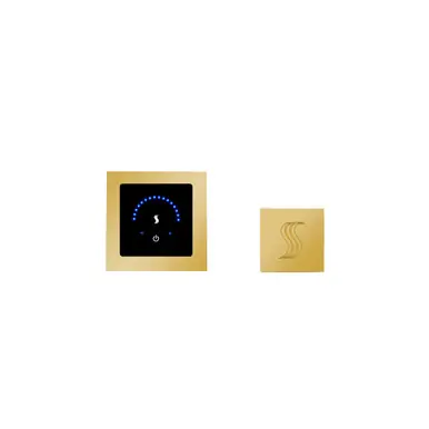 Worldwide Shipping Thermasol MicroTouch Control (Recessed, Square) + Steam Head Kit (Square), Polished Gold - MTMR-SVSQ-PG